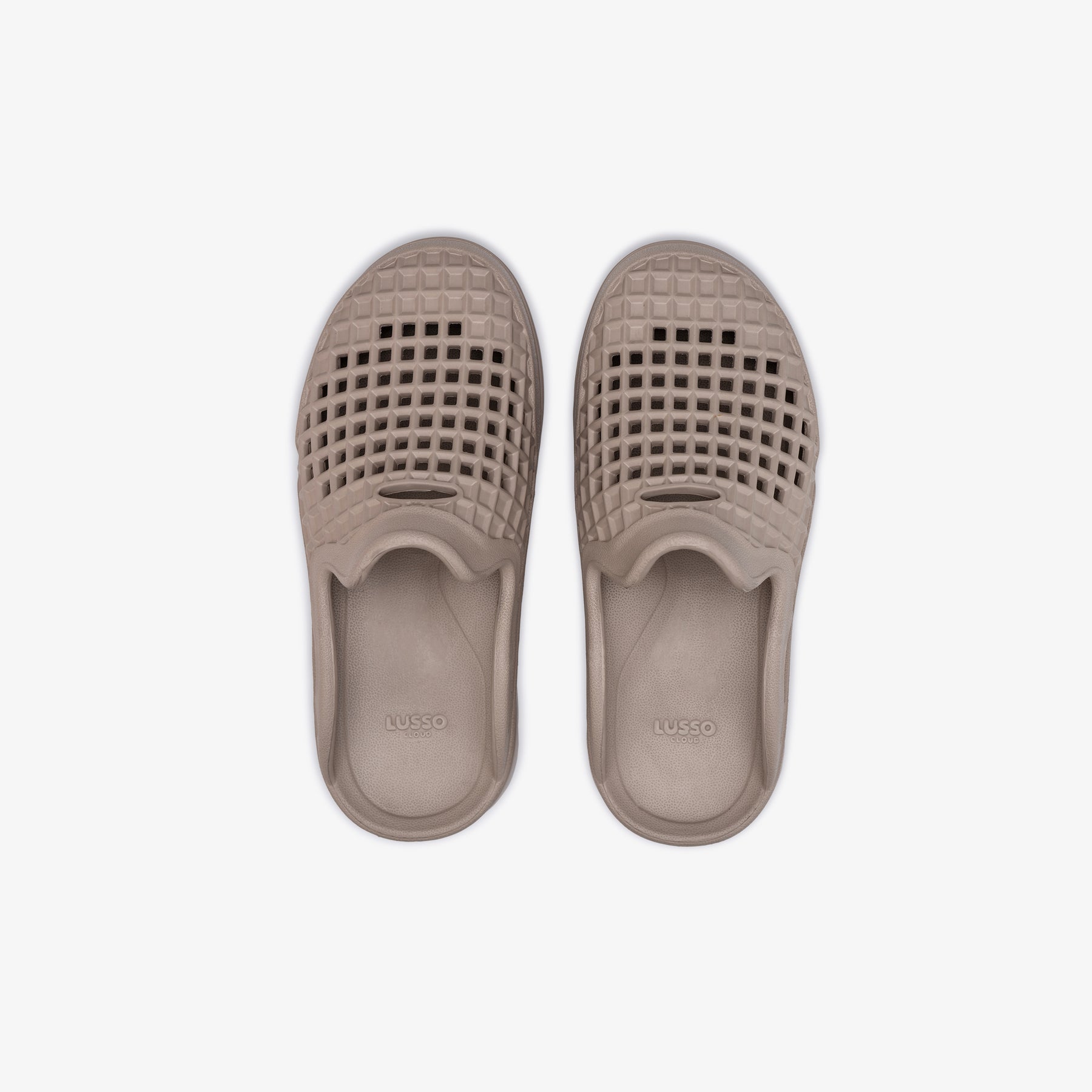 Scenario Slide - Goat